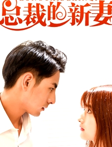 总裁的新妻